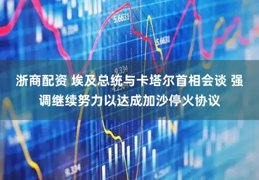 浙商配资 埃及总统与卡塔尔首相会谈 强调继续努力以达成加沙停火协议