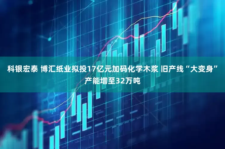 科银宏泰 博汇纸业拟投17亿元加码化学木浆 旧产线“大变身”产能增至32万吨